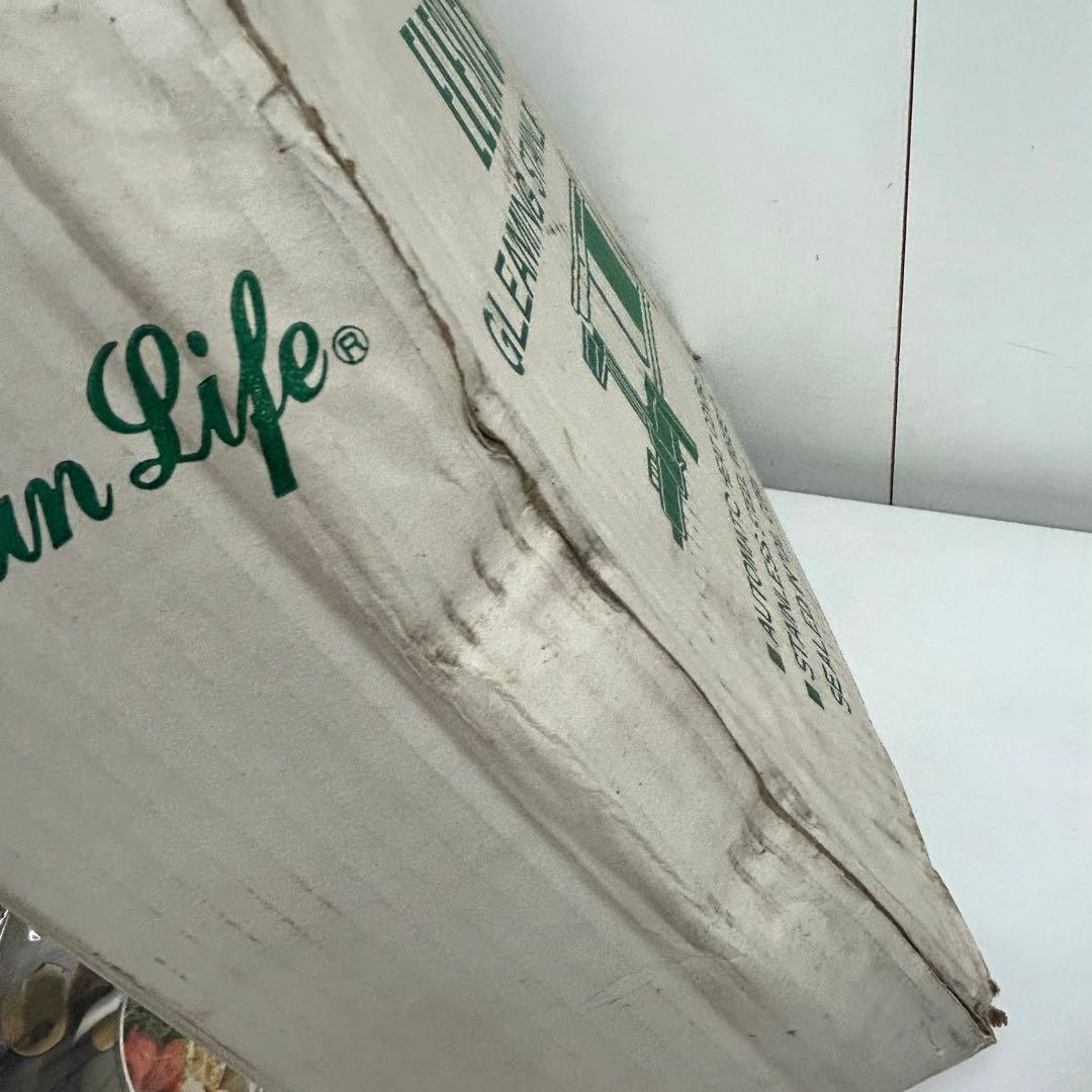 f553-23 ELESKI CORE エレスキコア 自動電気フライパン 未使用