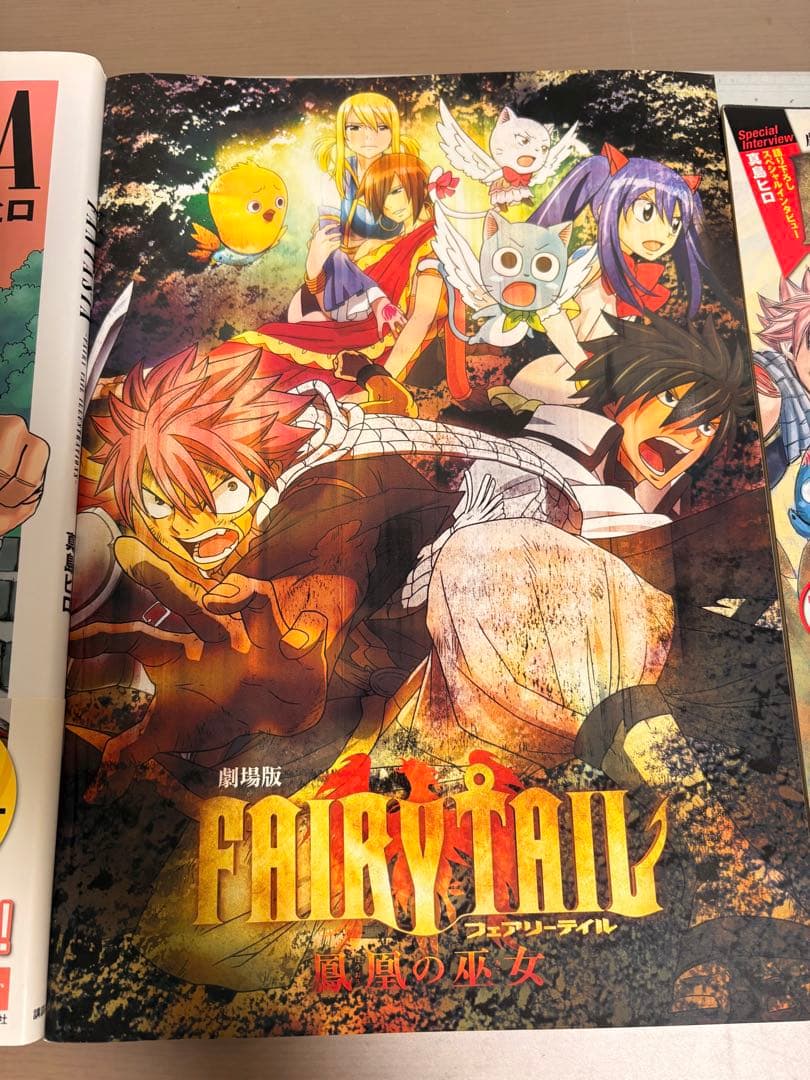 フェアリーテイル全巻＋特装版DVD、パンフレット【値下げコメント可⭕️】