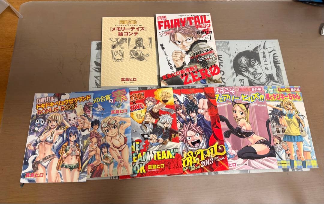 フェアリーテイル全巻＋特装版DVD、パンフレット【値下げコメント可⭕️】