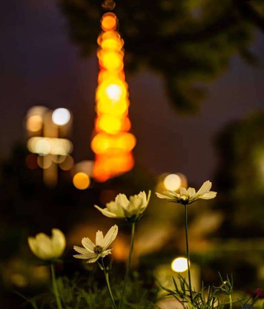 Canon EOS RP ミラーレス一眼 ゴールド