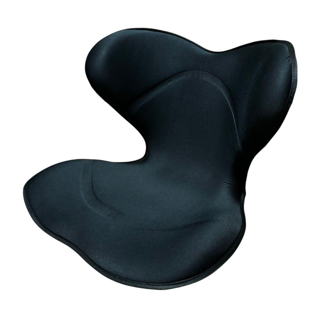 MTG スタイルスマート 骨盤姿勢矯正 骨盤サポートチェア 座椅子