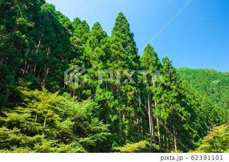 チャムチャム様冬色現品限り　薄雪色のピアス他14kgf