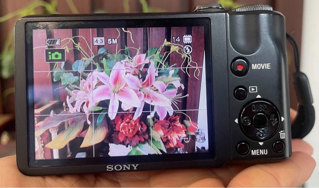 SONY Cyber-shot DSC-HX5V ソニー