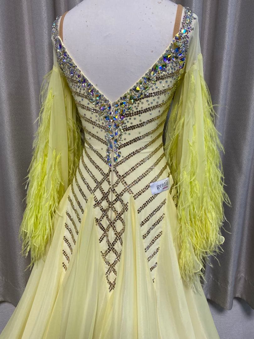 専用です！gentil 社交ダンス　スタンダードドレス　S