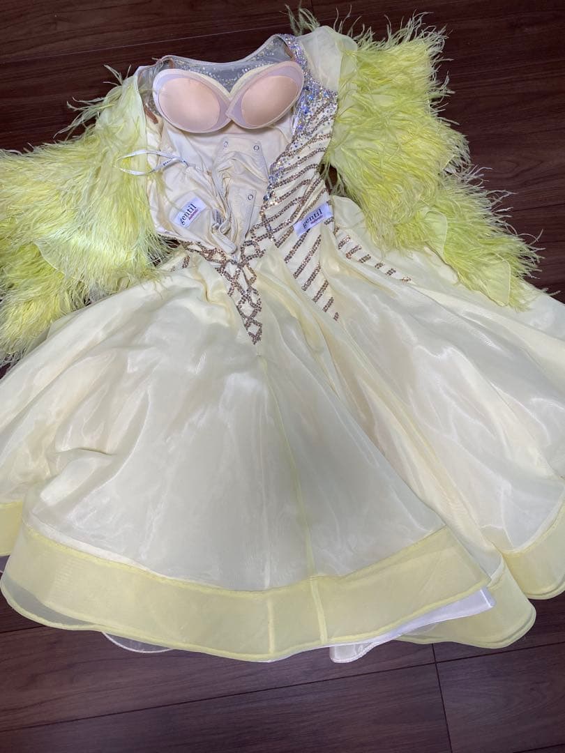 専用です！gentil 社交ダンス　スタンダードドレス　S
