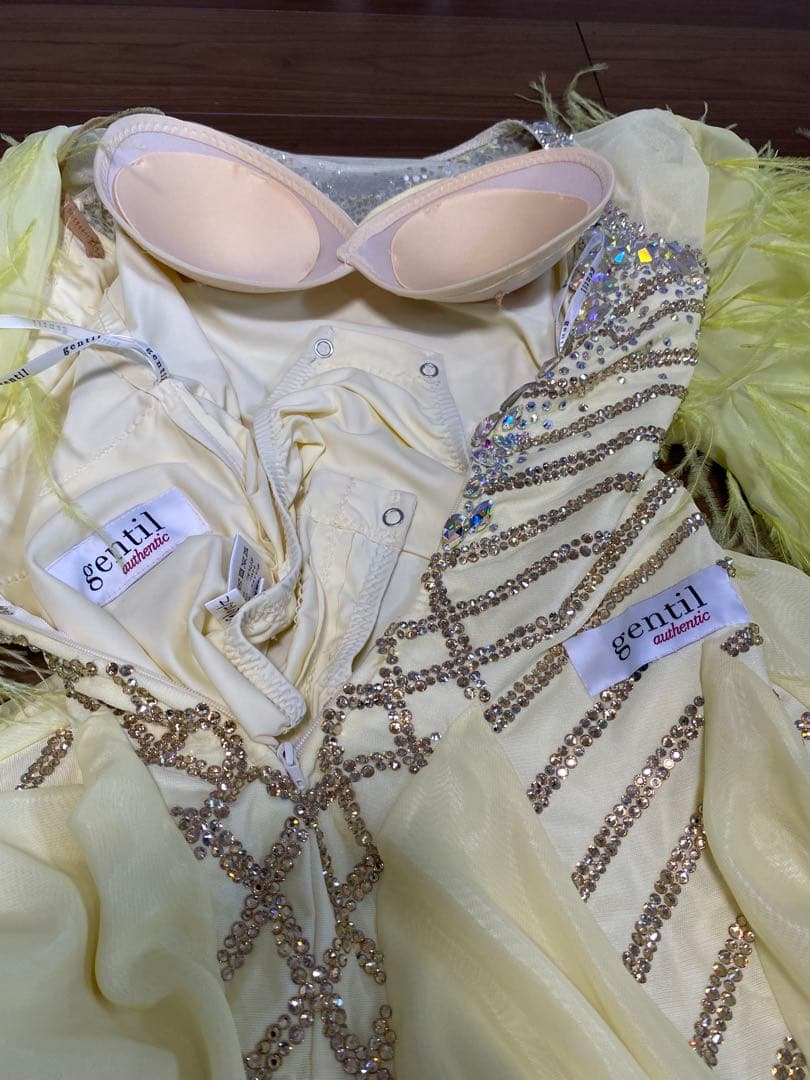 専用です！gentil 社交ダンス　スタンダードドレス　S