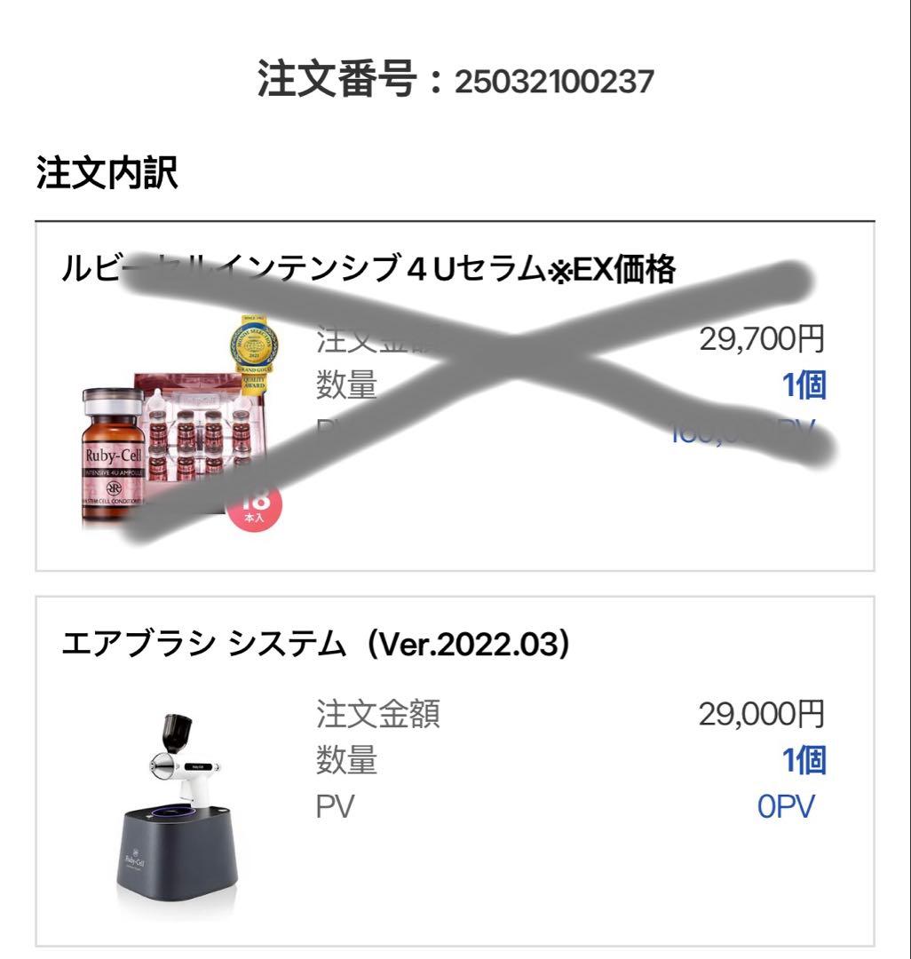 美品　ルビーセル　エアブラシ　システム