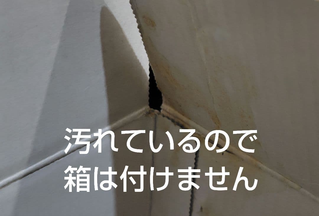 Nikon1 J1 標準ズームレンズキット 【純正バッテリー２個＆ソフトケース】