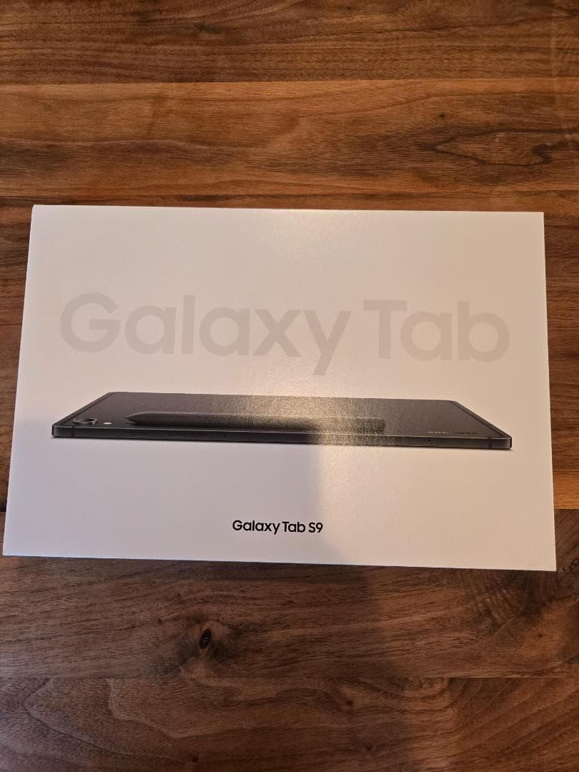 Samsung Galaxy Tab S9 本体