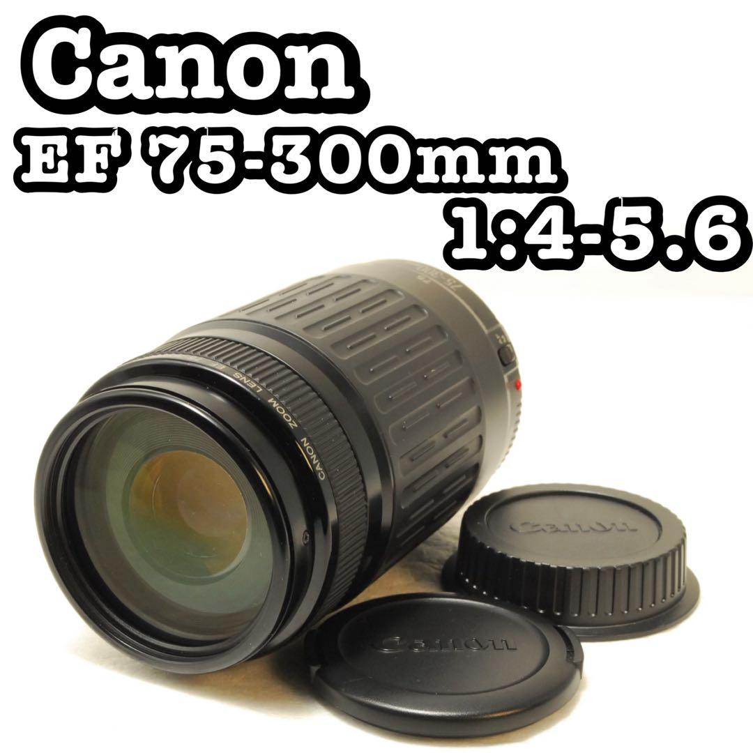 Canon EF 75-300mm 1:4-5.6 ❤️キヤノン 望遠レンズ