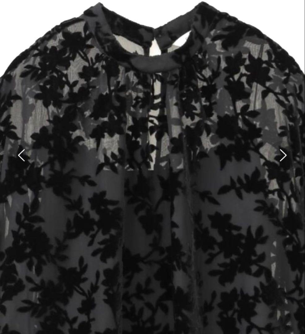 CLANE♡￥32,000 フラワーオパールバルーントップス クラネ