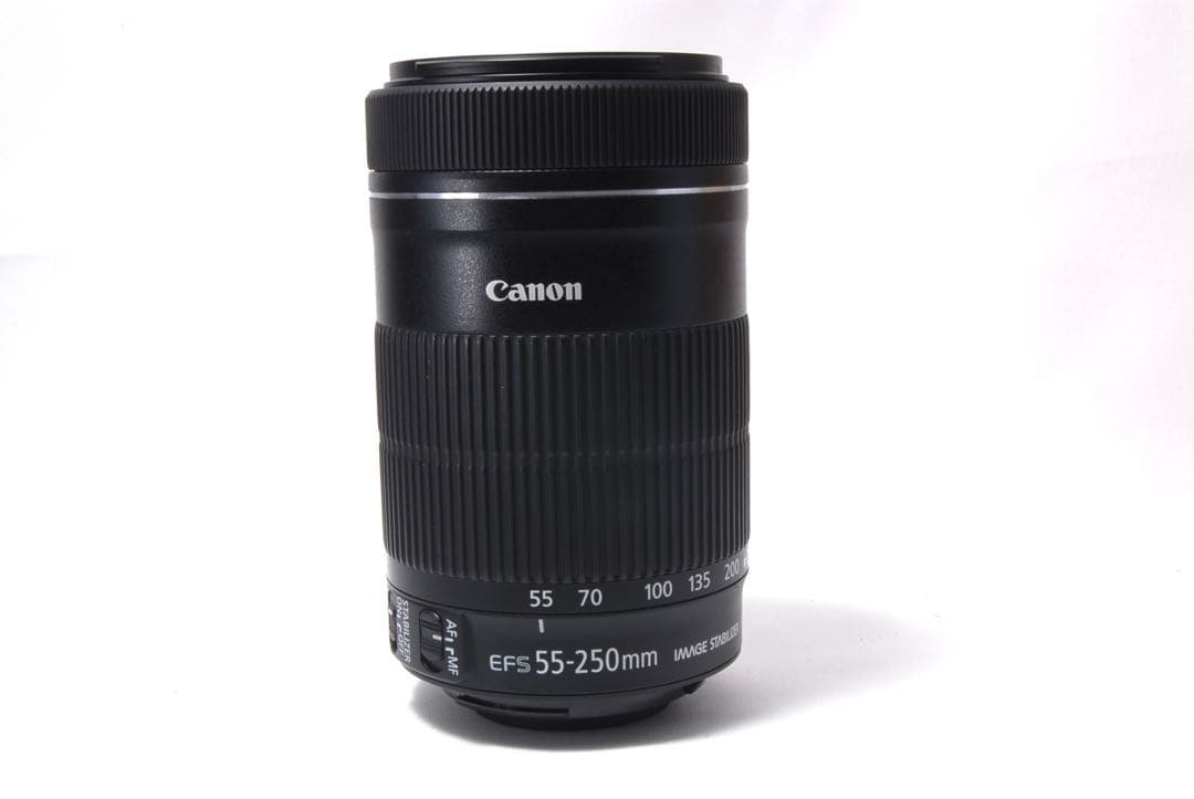 初心者OK♪Canon EOS 80D☆2本レンズセット 高画質 バリアングル