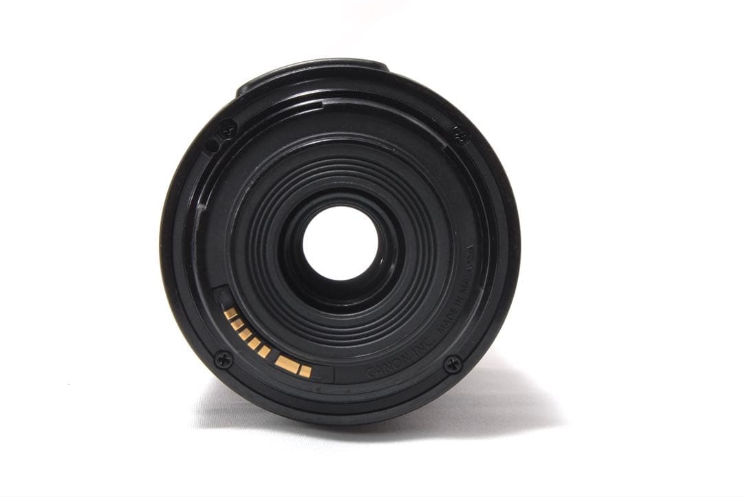 初心者OK♪Canon EOS 80D☆2本レンズセット 高画質 バリアングル