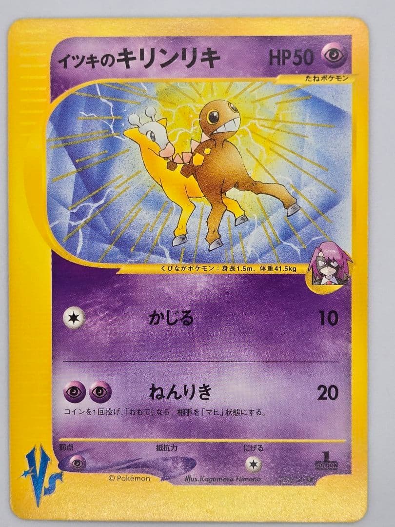 ポケモンカード eカードセットプロモあり　ミカンのライチュウR 団のニューラなど