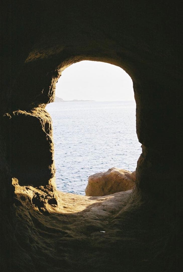 フィルムカメラ Nikon F3 Carl Zeiss 50mm F1.4