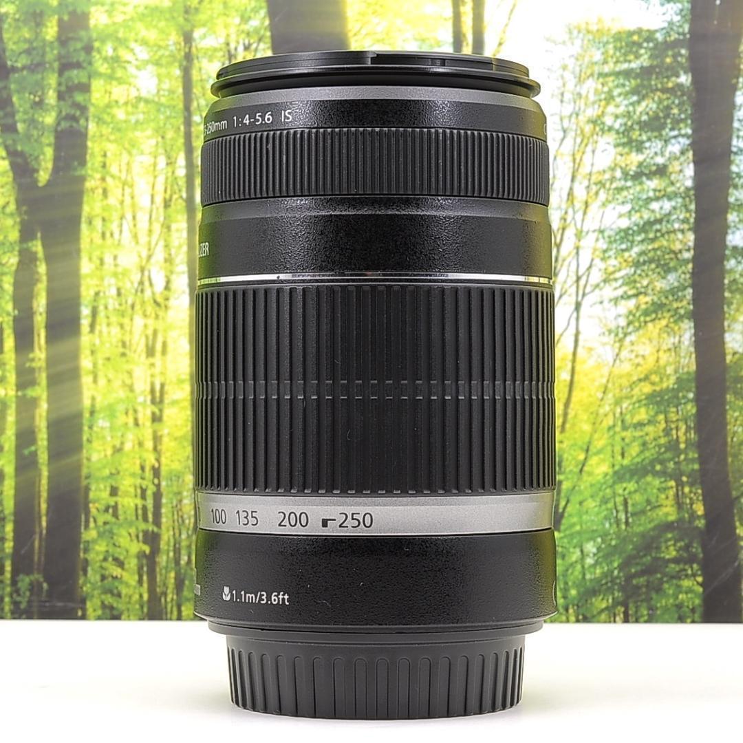 運動会の撮影に必須！☆Canon EF-S 55-250mm☆手振れ補正付