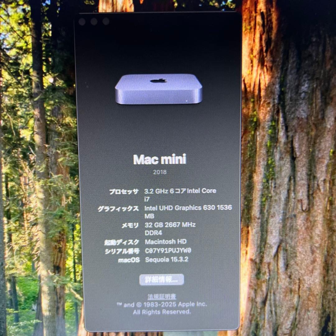 Macデスクトップ Mac Mini 2018 i7, 32GB, 256GB