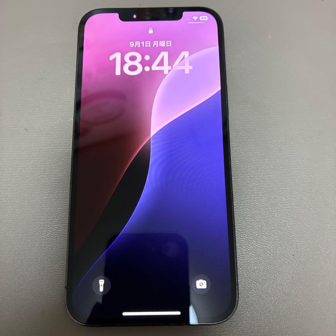 Apple iPhone 12 ProMax 本体