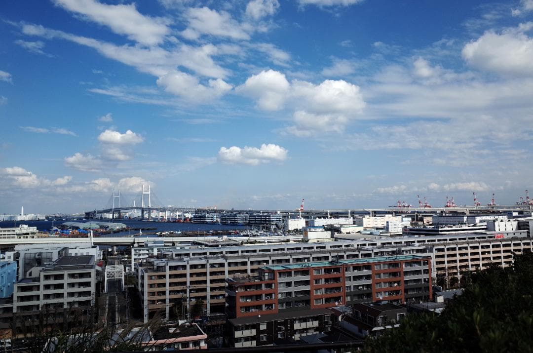 RICOH GR 　APS-C　 少ないショット数