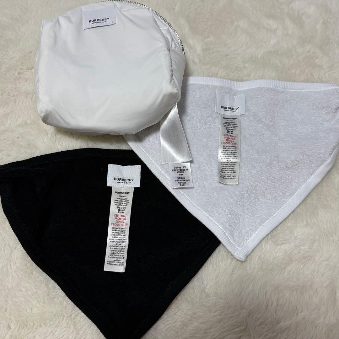 新品未使用　バーバリー　Burberry　スタイ　ポーチ　二枚　ノバチェック