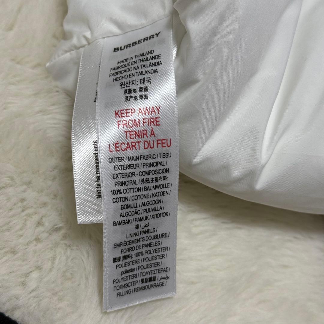 新品未使用　バーバリー　Burberry　スタイ　ポーチ　二枚　ノバチェック