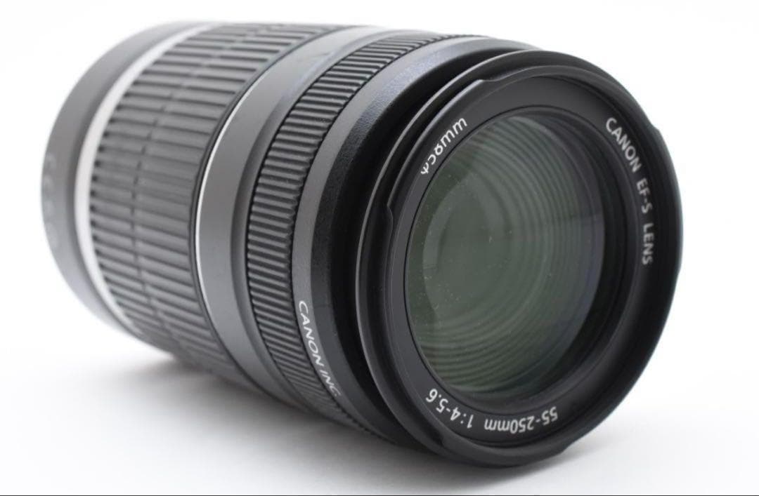 ✨CANON EF-S 55-250 ✨手ぶれ補正✨望遠レンズ✨キヤノン 用