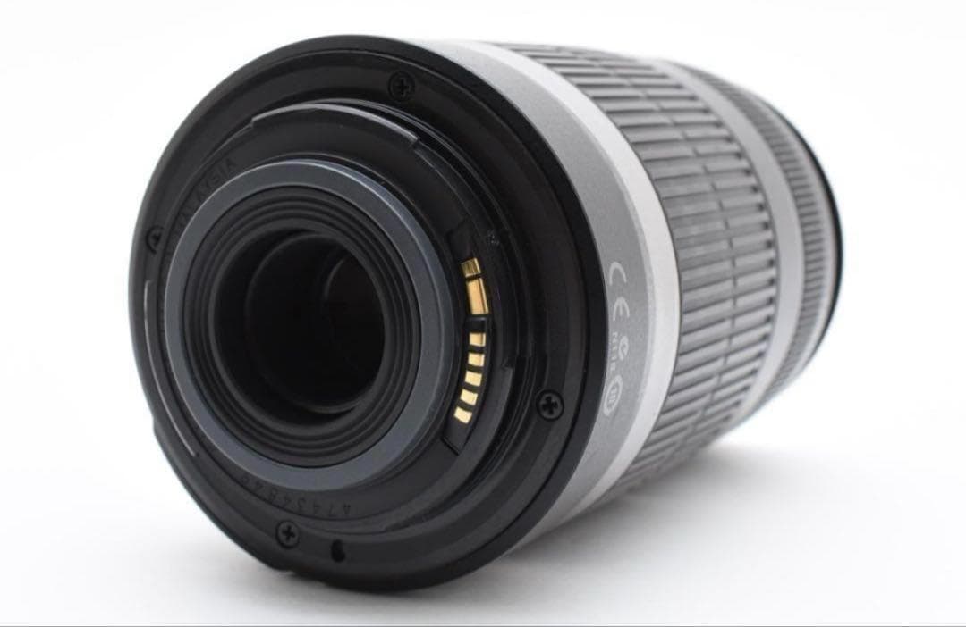 ✨CANON EF-S 55-250 ✨手ぶれ補正✨望遠レンズ✨キヤノン 用