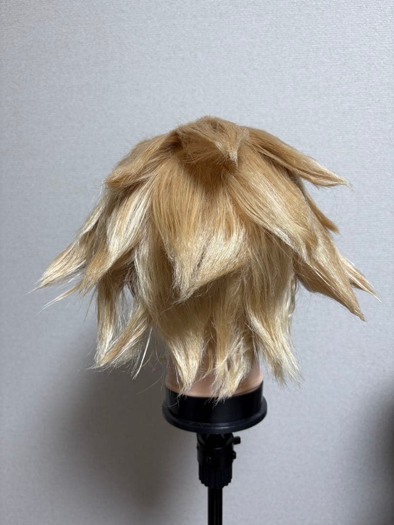 Dr.STONE スタンリー ウィッグ