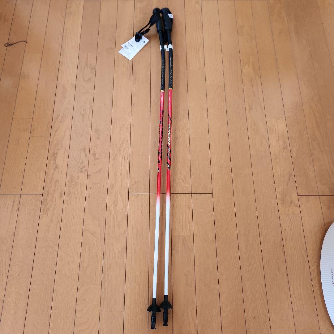 OGASAKA RC-GS-R スキー ストック 123