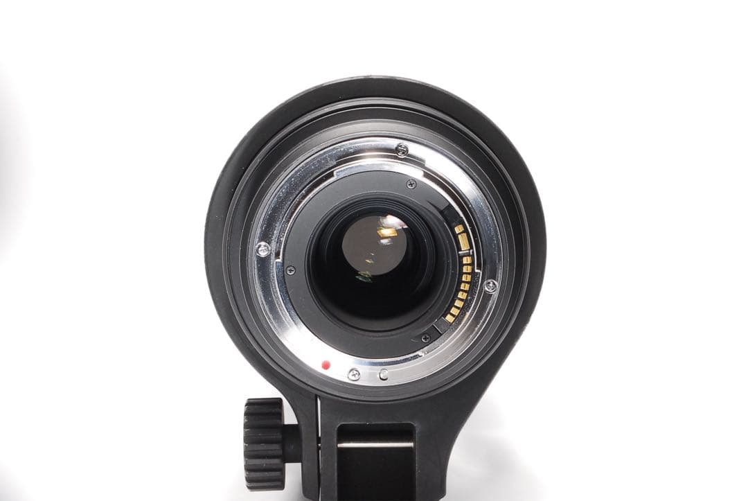 超望遠の世界へ！ SIGMA 150-500mm DG HMS Canon用