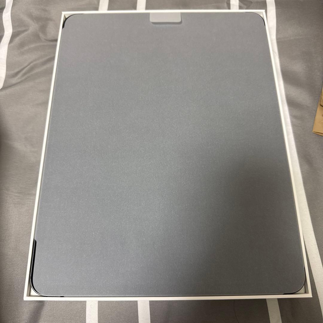iPad本体 IPad Pro M5 13inch (wifi + Cellular)