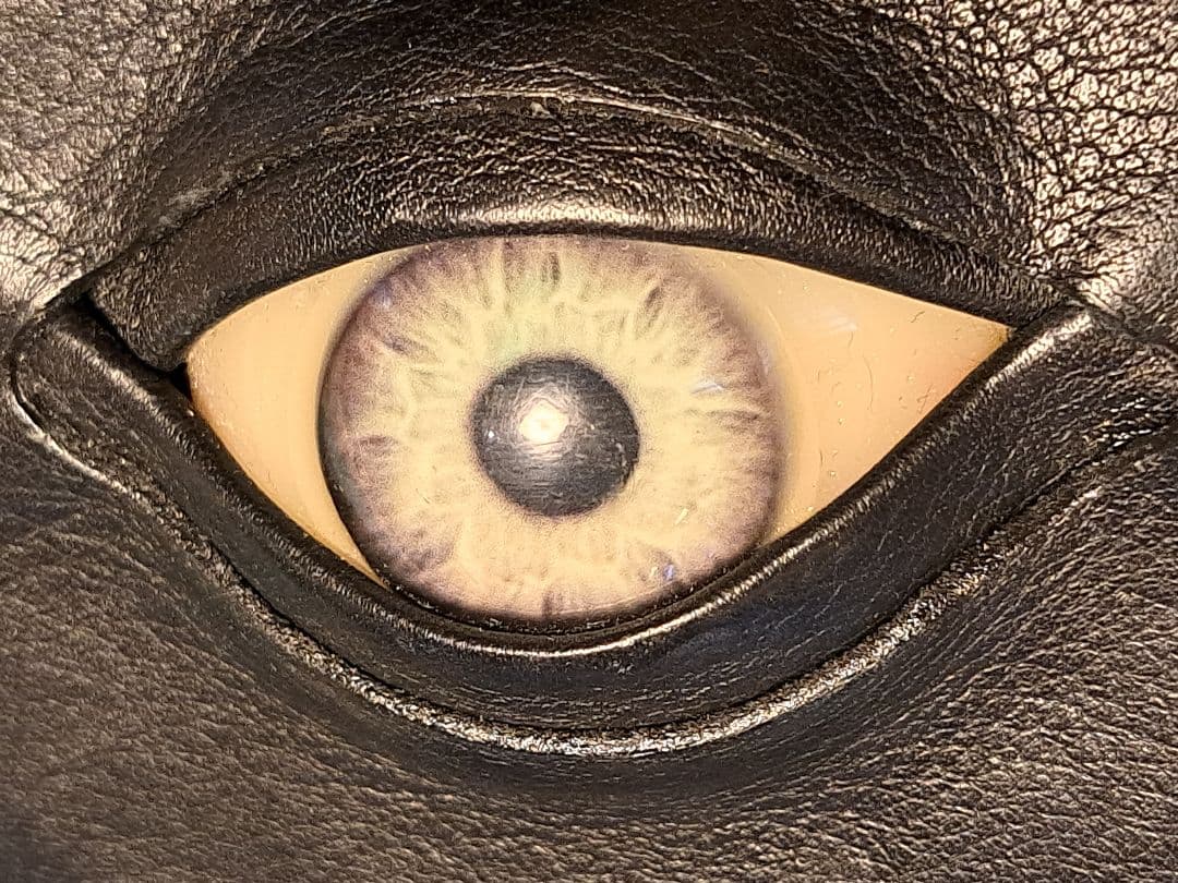 目玉　義眼　革　ケース　小物ポーチ