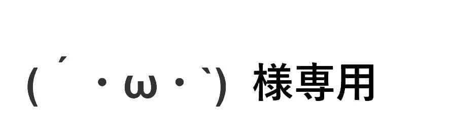 フォロー割実施中Levoit空気清浄機 Core300 Pro花粉症