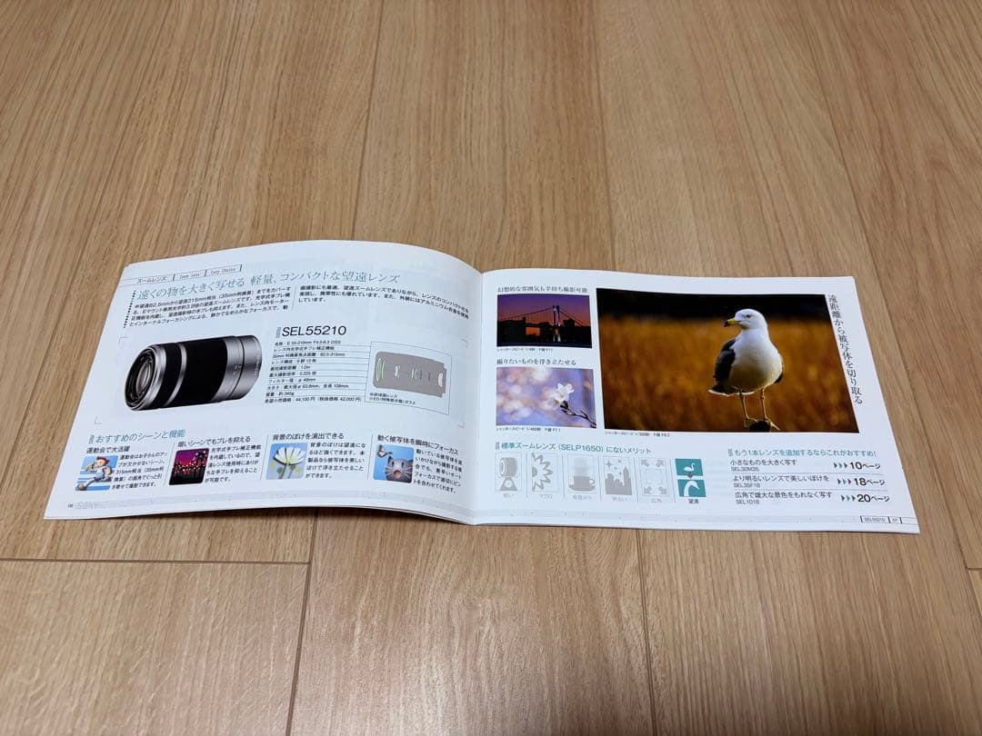 SONY NEX-5ミラーレス一眼カメラ