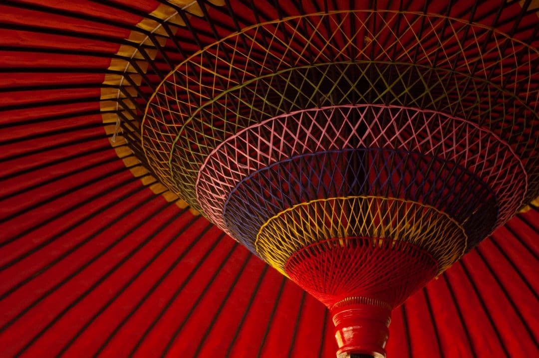 Epson R-D1S デジタルカメラ 本体