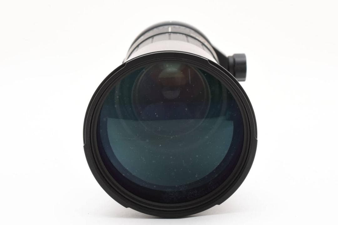 シグマ SIGMA APO 170-500mm F5-6.3 ソニー #600