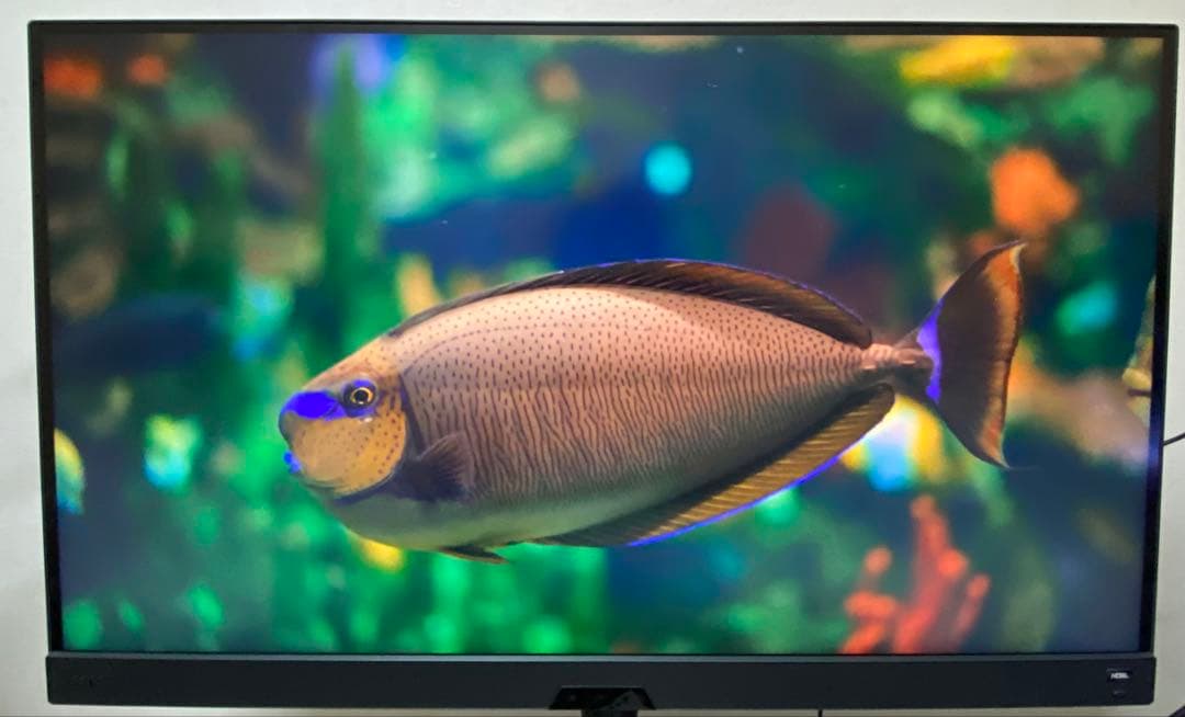 BenQ MOBIUZ EX3210U 32インチ4Kゲーミングモニター