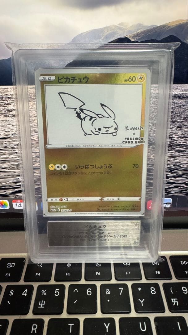 ピカチュウ トレーディングカード グレード10