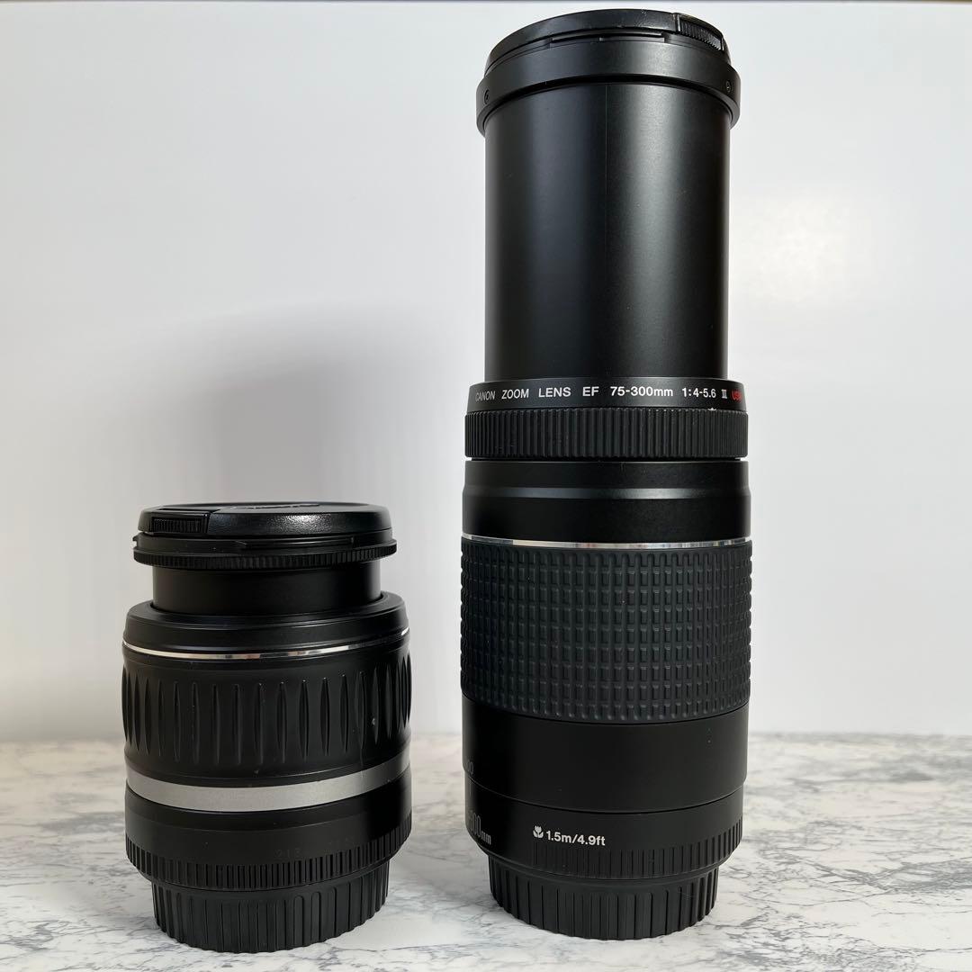 初心者おすすめ Canon EOS Kiss X10 純正ダブルレンズ おまけ付