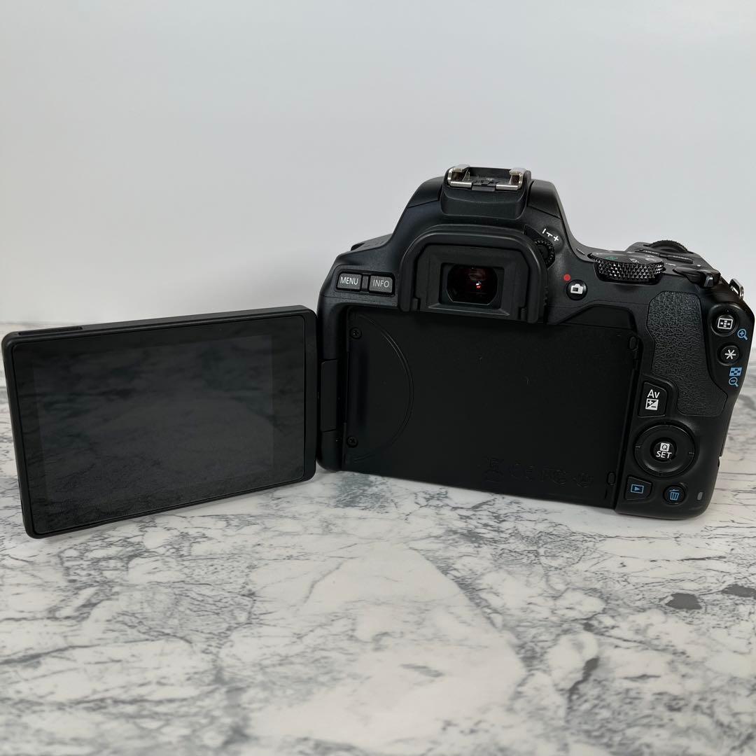 初心者おすすめ Canon EOS Kiss X10 純正ダブルレンズ おまけ付