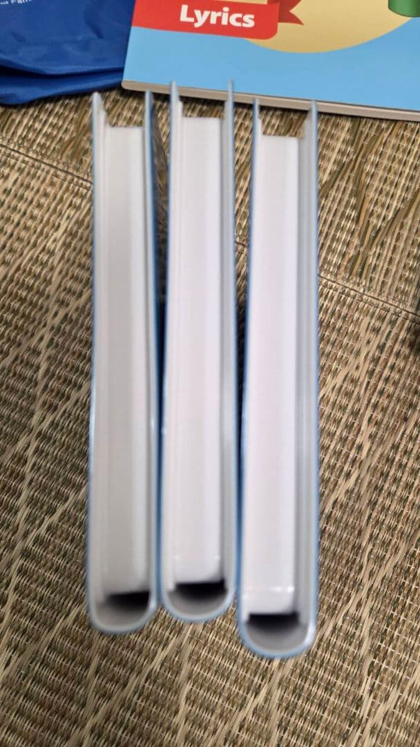 プレイアロング、シングアロング　おもちゃ付　ディズニー英語システム