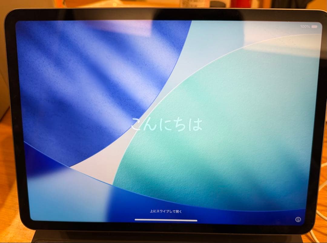 【美品】iPad Pro(第三世代) 11インチ WiFi 256GB