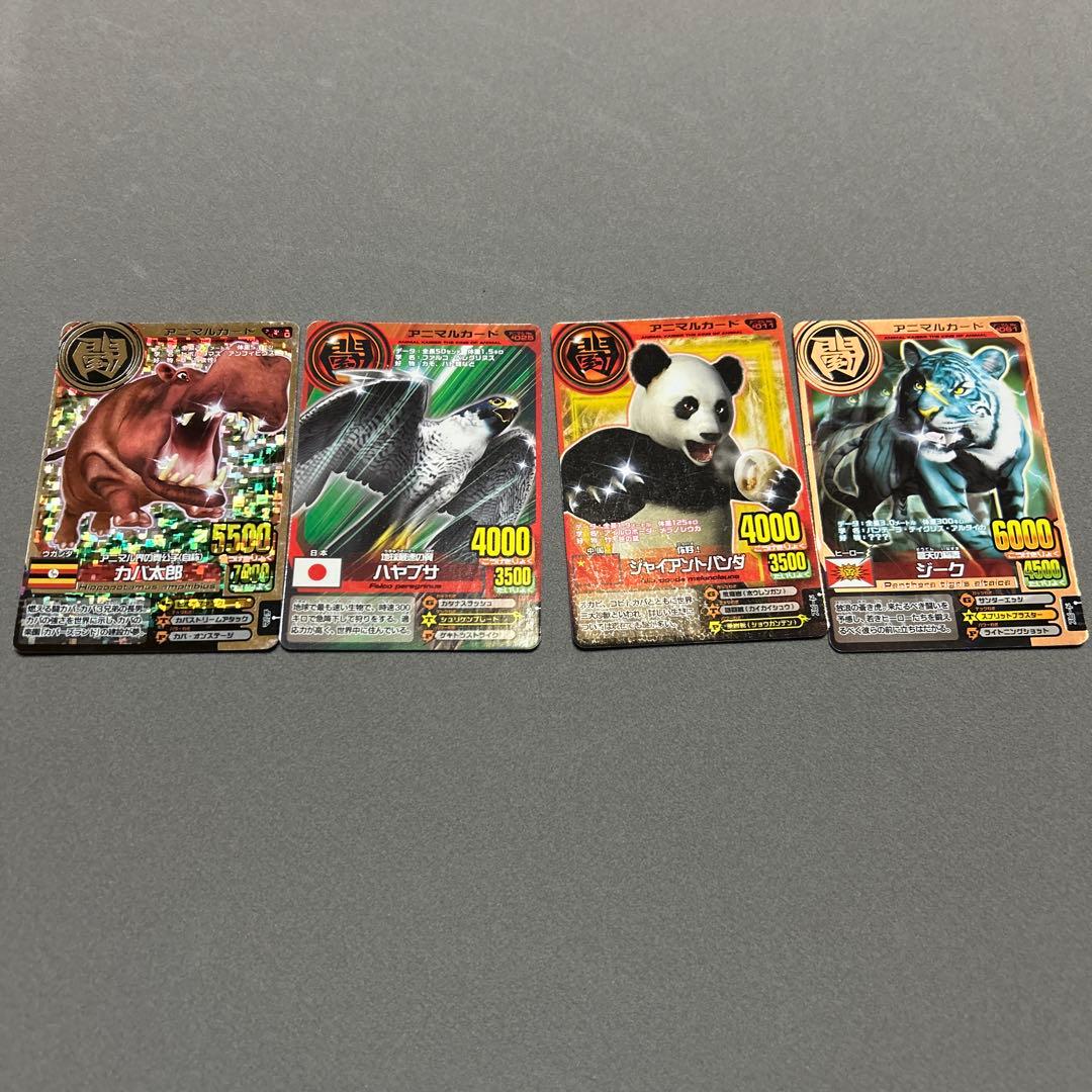 アニマルカイザー　カード