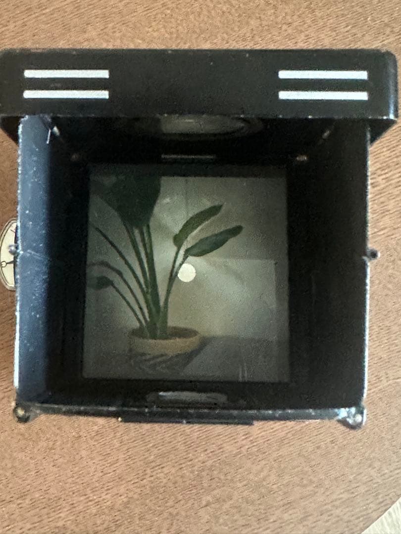 (ローライ) Rollei ローライフレックス3.5F プラナー　ケース付き