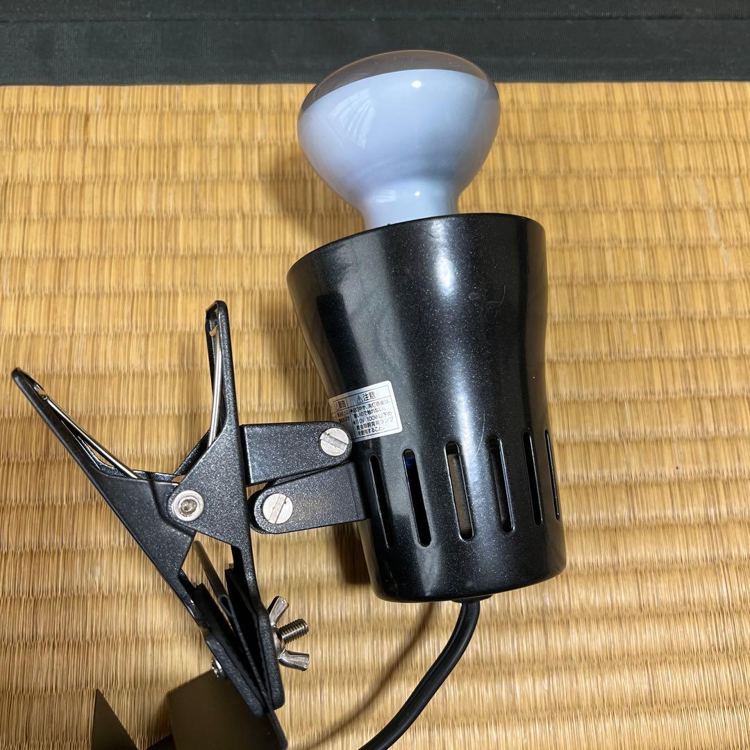 グラステラリウム セット