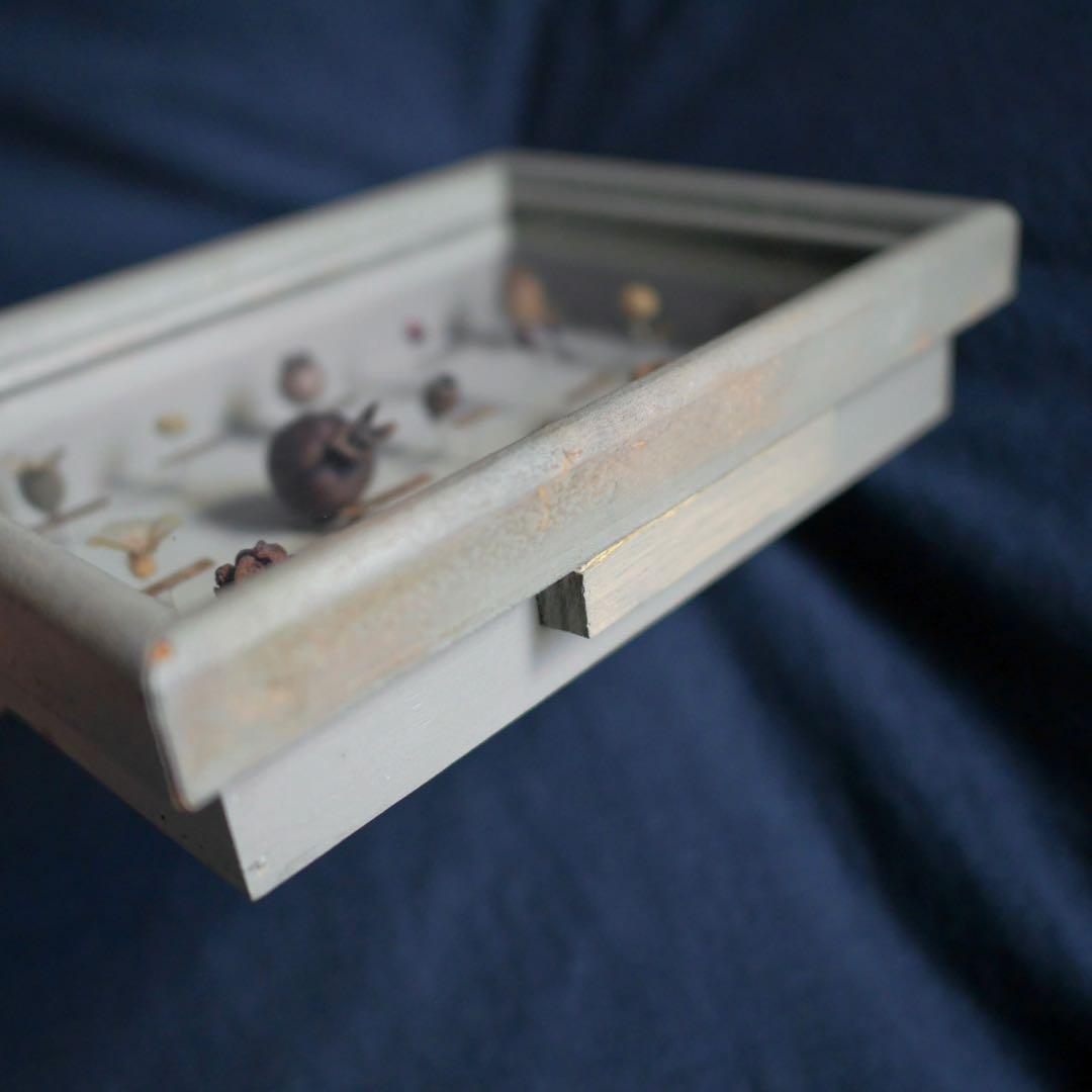 西別府久幸 「森のオトシモノ」