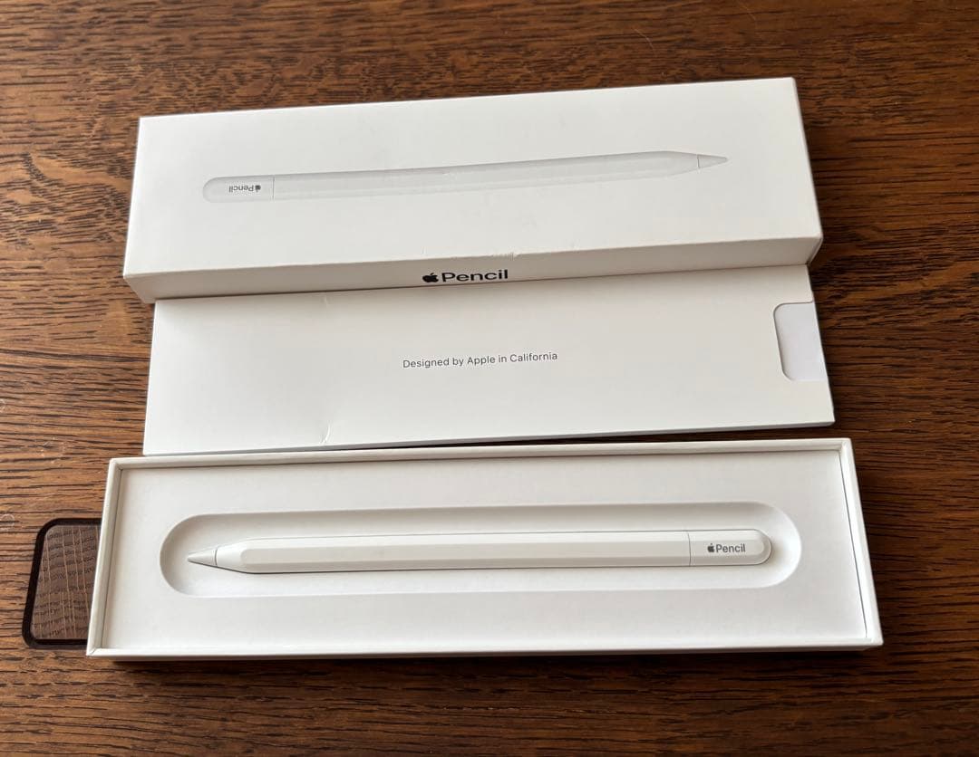 【中古美品】Apple Pencil (USB-C) 専用ケース付き