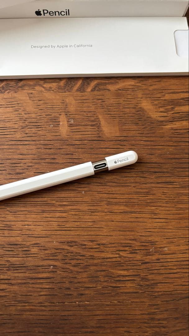【中古美品】Apple Pencil (USB-C) 専用ケース付き