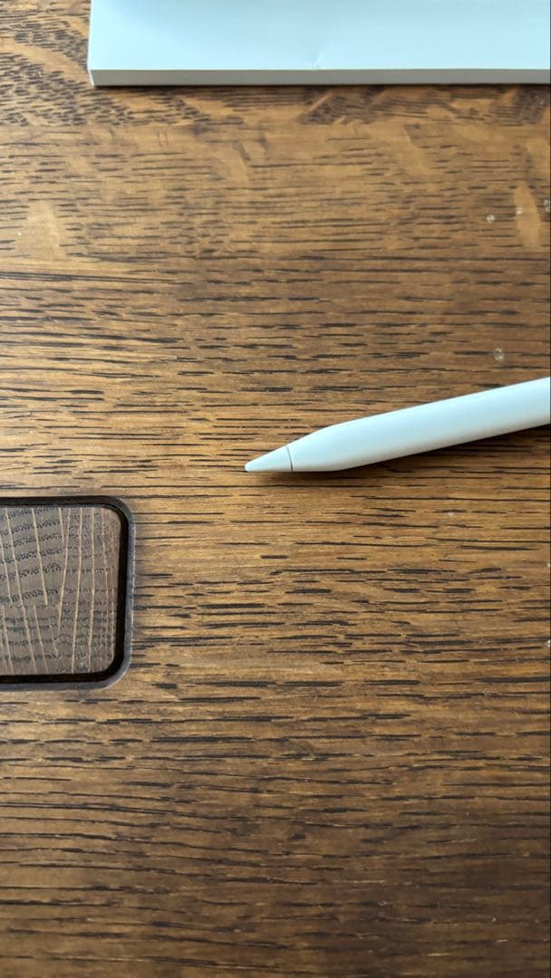 【中古美品】Apple Pencil (USB-C) 専用ケース付き