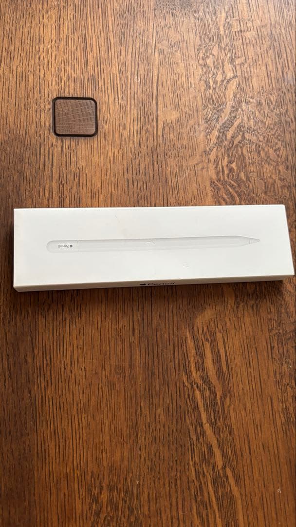 【中古美品】Apple Pencil (USB-C) 専用ケース付き